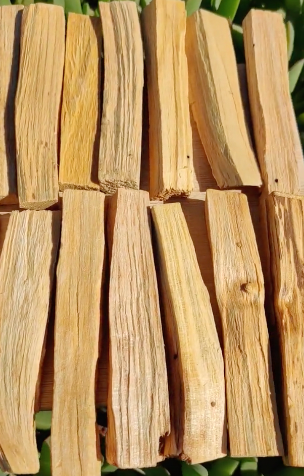 Palo Santo (7)